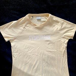 Gymshark Apollo Tshirt - Clay Grey
